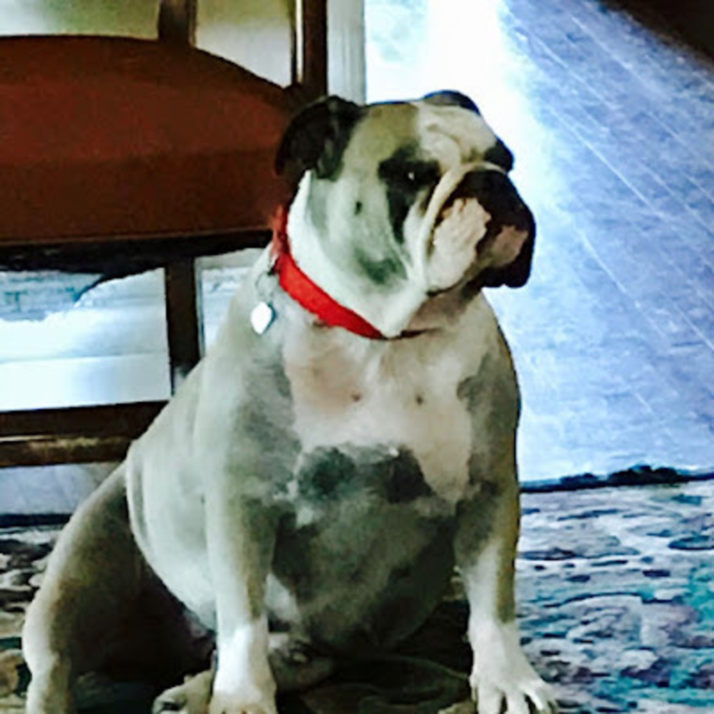 Meet your Posher, Jeanne